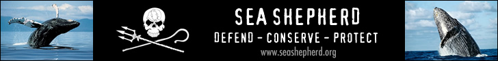 Sea Shepherd